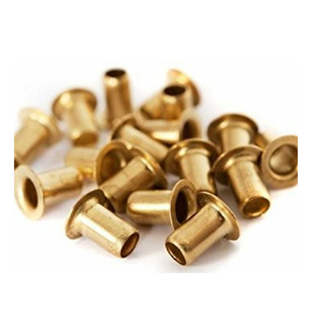 NNEDSZ 1000 Bee Frame Eyelets Brass Fittings Bee Hive Beehive Beekeeping Beekeeper Tool