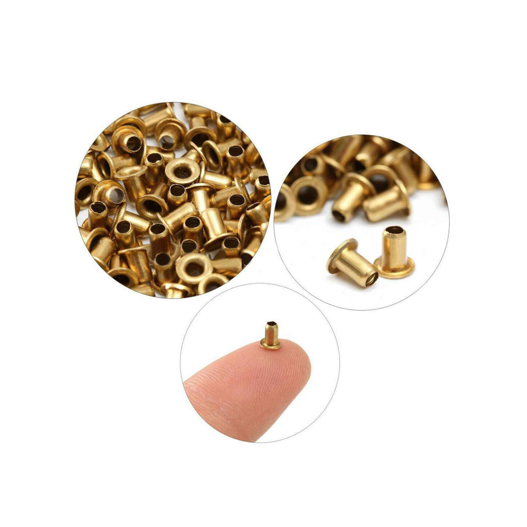 NNEDSZ 1000 Bee Frame Eyelets Brass Fittings Bee Hive Beehive Beekeeping Beekeeper Tool